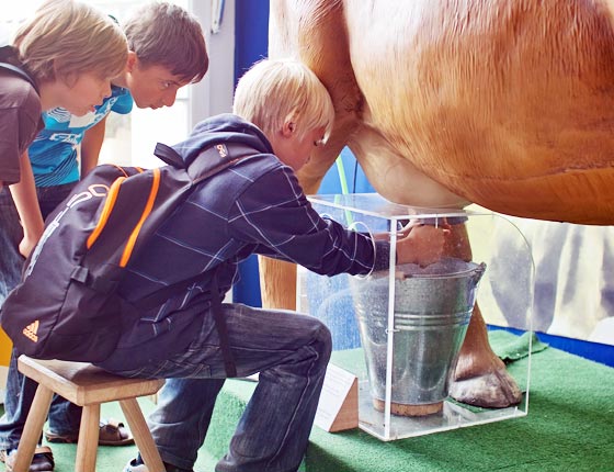 Sonderausstellung <br>&bdquo;Vom Korn der fr&uuml;hen Jahre&ldquo;