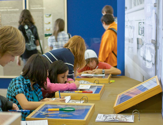 Sonderausstellung <br>&bdquo;Vom Korn der fr&uuml;hen Jahre&ldquo;