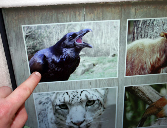 Tierstimmenstation <br>Bhutan-Ausstellung