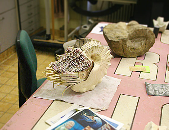 Landesaustellung „bodenlos“