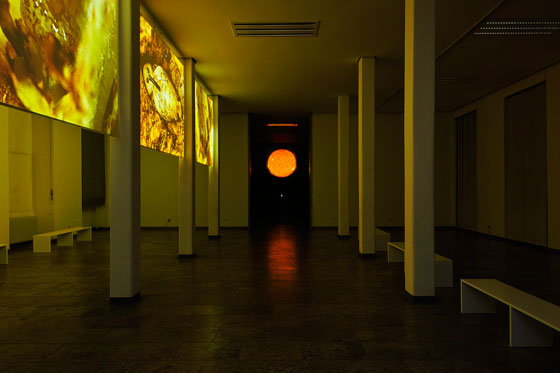 Kunstprojekt <br>„Solar Sonical <br>Insects #2“