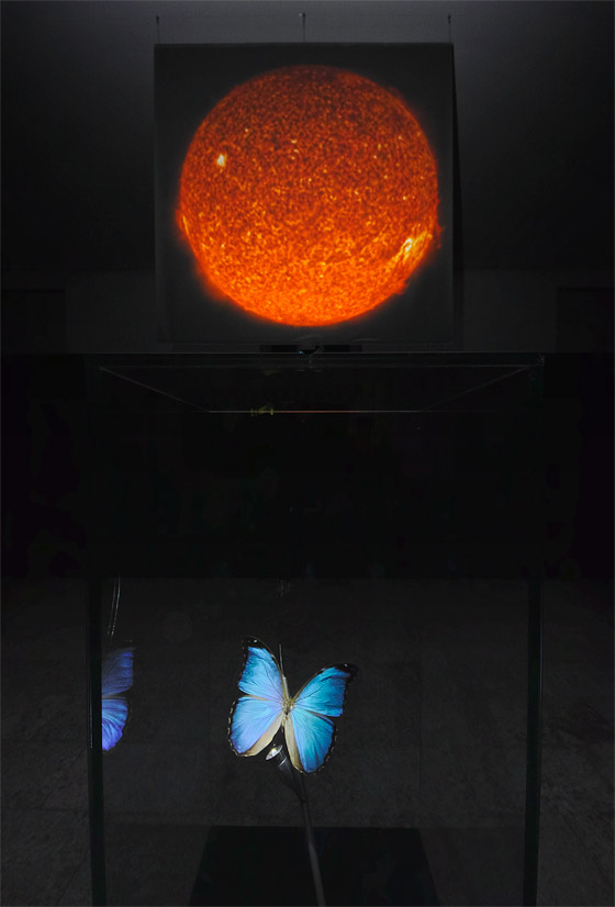 Kunstprojekt <br>„Solar Sonical <br>Insects #2“