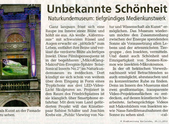 Kunstprojekt <br>„Solar Sonical <br>Insects #2“