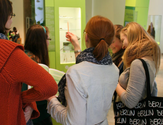 Schüler-Rallyeheft <br> &bdquo;Die Welt der Insekten&ldquo;