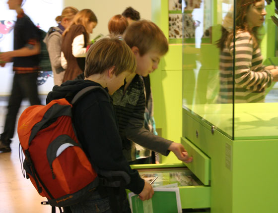 Schüler-Rallyeheft <br> &bdquo;Die Welt der Insekten&ldquo;