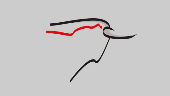 Mannigfaltige <br>Markenzeichen